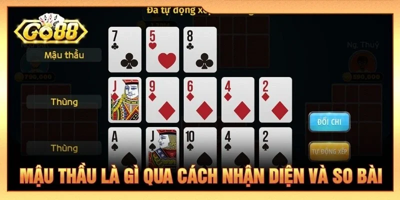 Mậu thầu là gì qua cách nhận diện và so bài